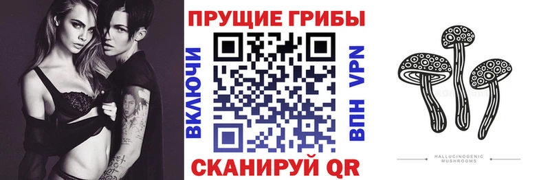 купить сайты Снежинск Псилоцибиновые грибы ЛСД